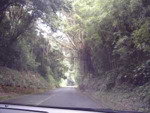 Pali Road
