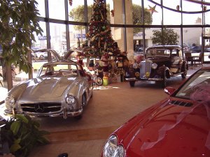 Front by Tree